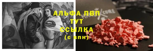 хмурый Нея