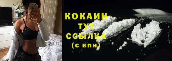 хмурый Нея