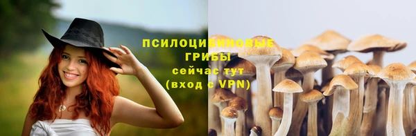 бошки Нефтегорск
