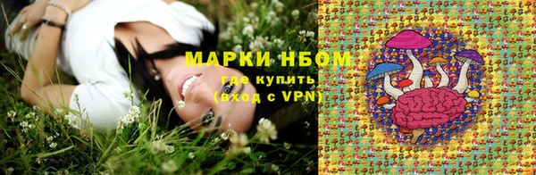 хмурый Нея