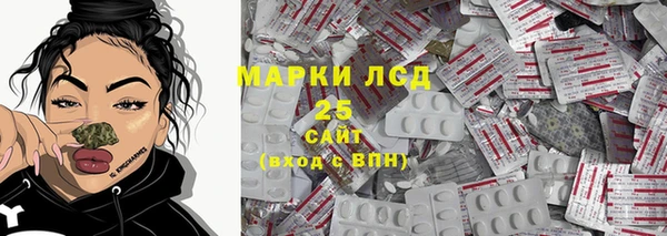 хмурый Нея