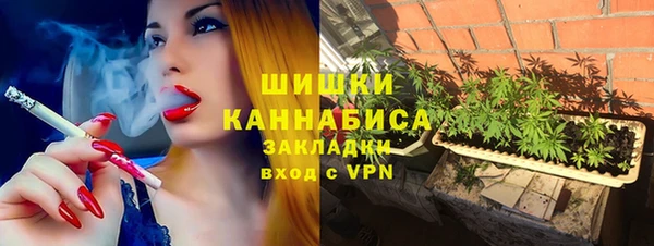 хмурый Нея