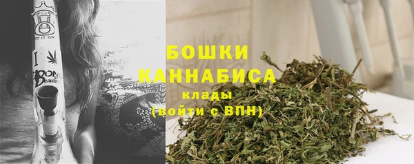 хмурый Нея